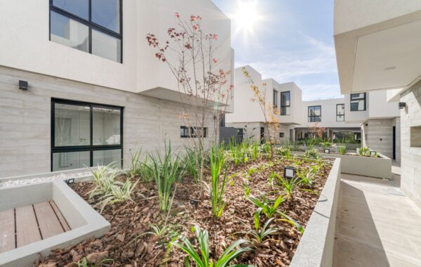 Distrito 20 Housing, Distrito 20 Housing