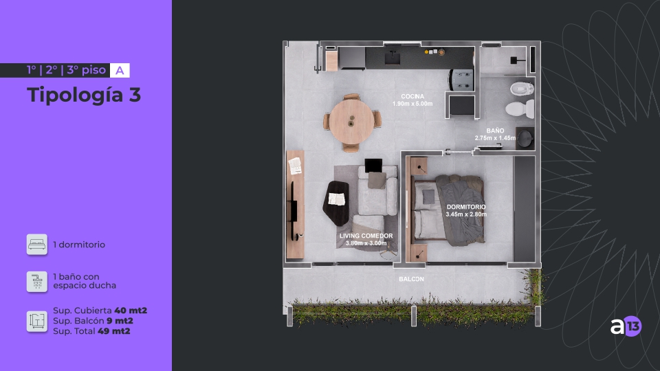 ALERCES-13-Tipologia-3 Alerces 13, Alerces 13