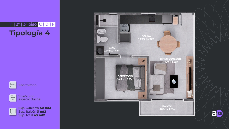 ALERCES-13-Tipologia-4 Alerces 13, Alerces 13