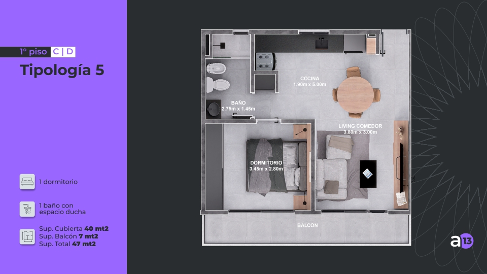 ALERCES-13-Tipologia-5 Alerces 13, Alerces 13