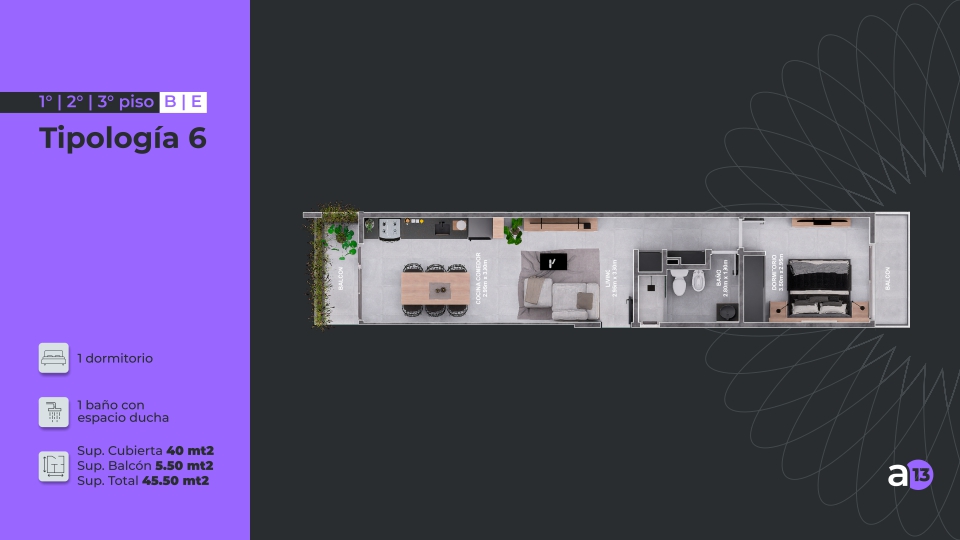 ALERCES-13-Tipologia-6 Alerces 13, Alerces 13