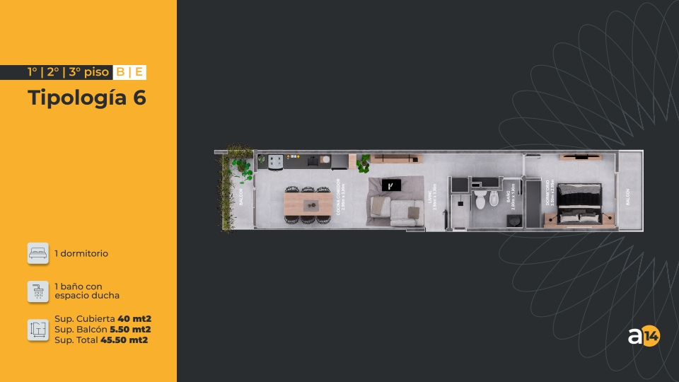 ALERCES-14-Tipologia-6 Alerces 14, Alerces 14