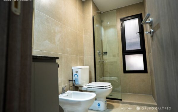 Alerces 14, Alerces 14